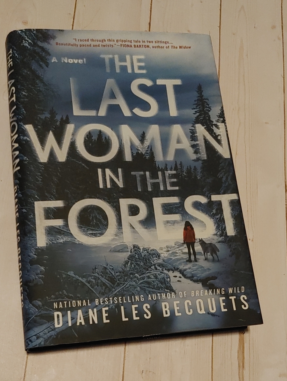 The Last Woman In The Correct Adult Fiction Book Diane Less Besquet